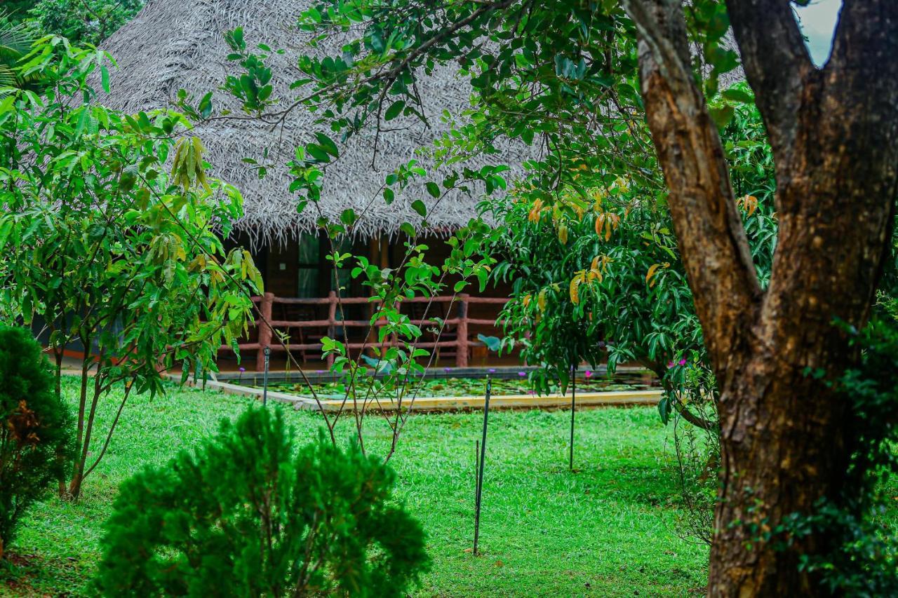 Sigiriya Water Cottage Bagian luar foto