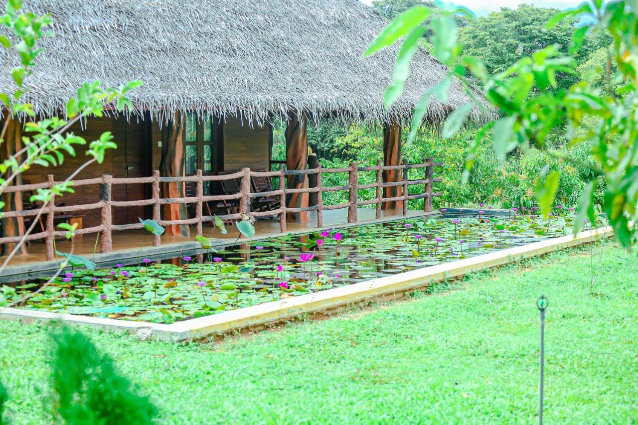 Sigiriya Water Cottage Bagian luar foto