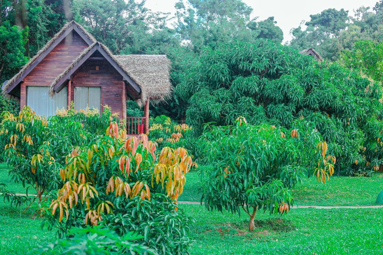 Sigiriya Water Cottage Bagian luar foto