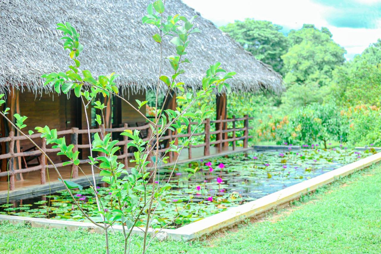 Sigiriya Water Cottage Bagian luar foto